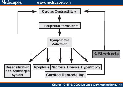 Beta Blocker Therapy for Chronic Heart Failure .